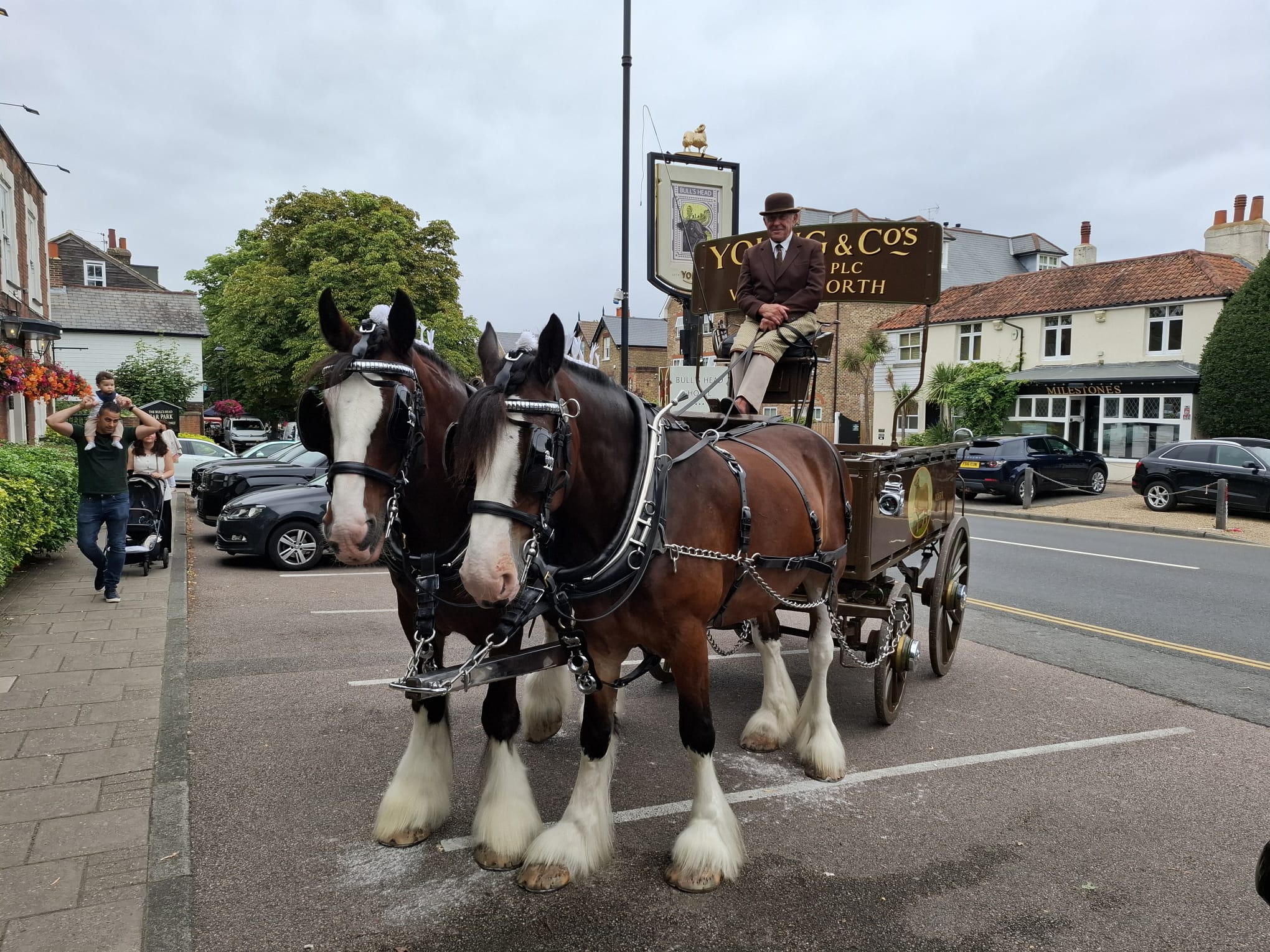 Brand activation with Shire horses